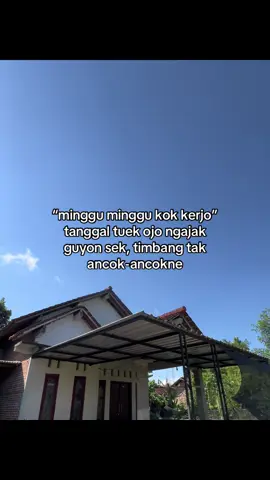 #ardynsyh 
