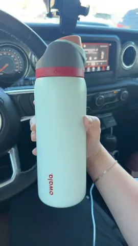 Boneyard takes the cake 🍰 also not Benny judging me in the backseat  #owala #trending #owalacolordrop #waterbottle #fyp @Owala 