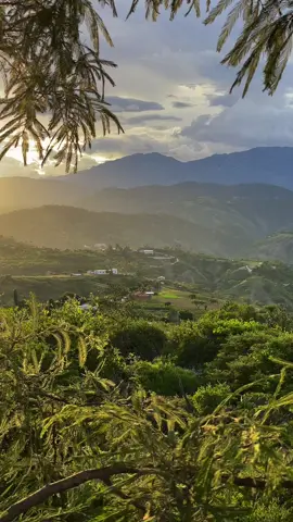 Paz mental 💚💚💚💚☘️#nature #video 