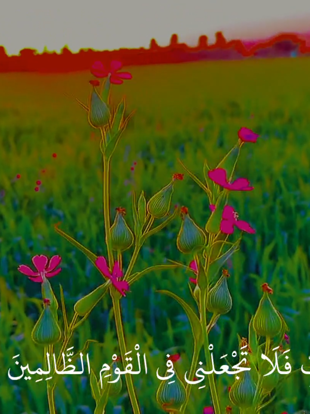 مريحة  #محمد_اللحيدان #قران_كريم #quran #quran_alkarim 