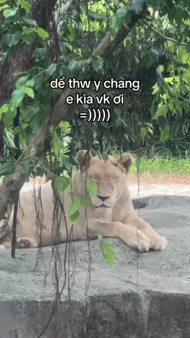 Thấy xinh như em 🥳 #GreenCreator #VinWonders #dulich #phuquoc #vinpearlsafariphuquoc 