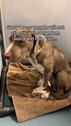 Anything helps! We are running out of time. 