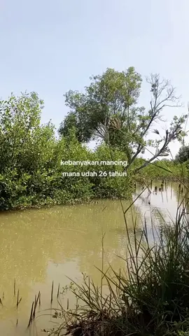 😶 #hobimancing #mancingkuy #storymancing #katakatamancing #lewatberanda 