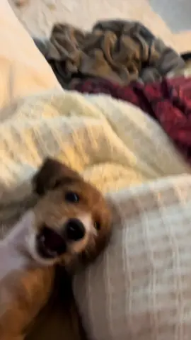 😒