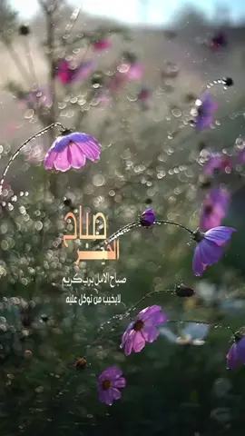 #في هذا اليوم 