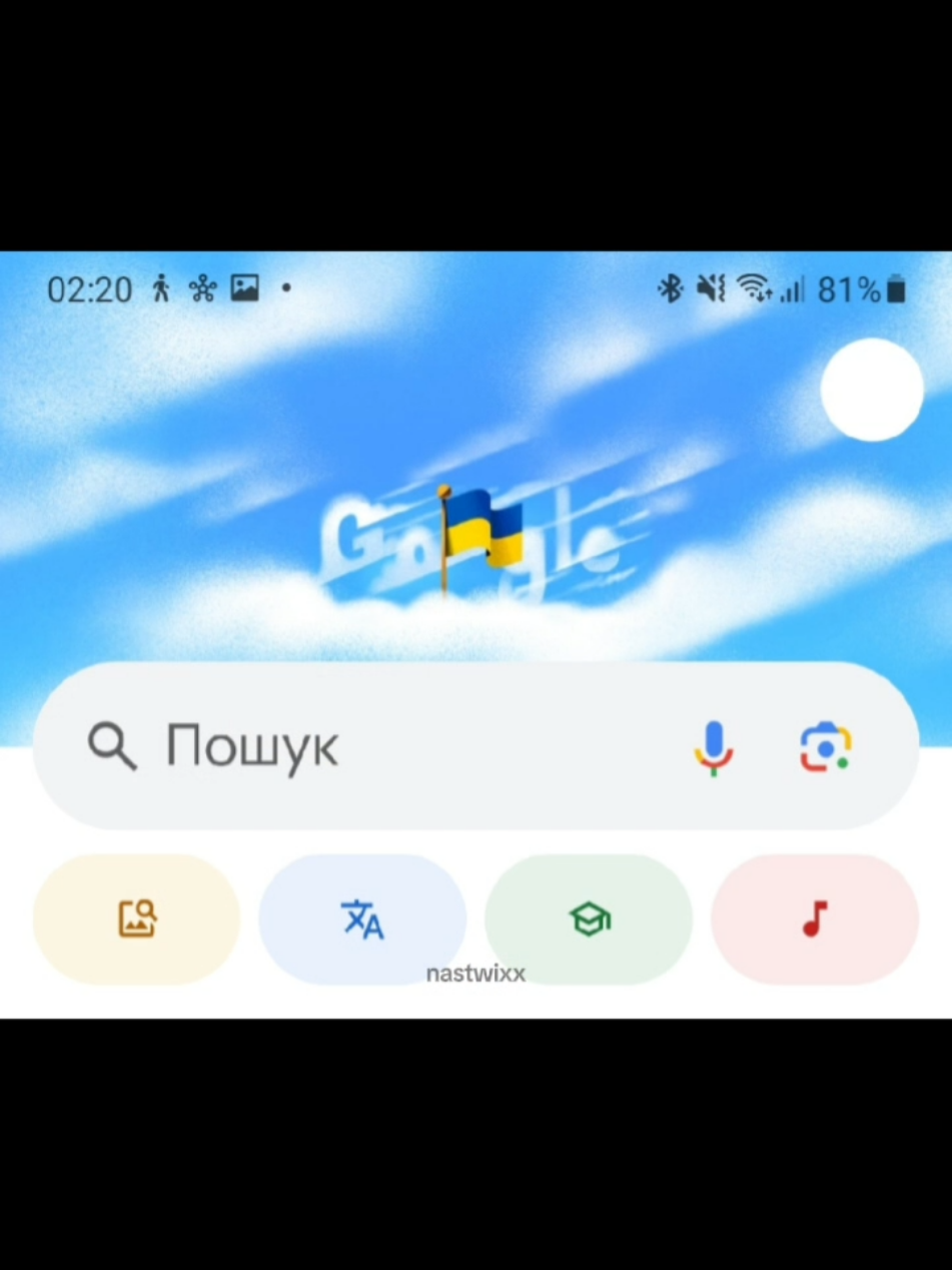наш козак #ukraineindepenceday #google #fyp #rec #nastwixx 