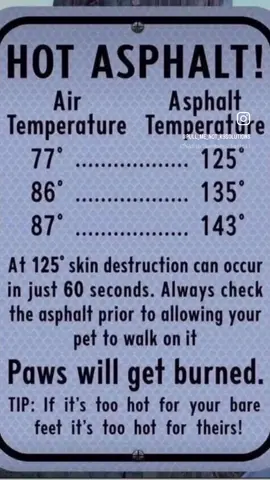 It’s hot in Houston! The ground is hot! Don’t burn your dogs paw pads. #houstondogtraining #houstondogtrainer #basicobediencetraining #dontburnyourdogspaws 