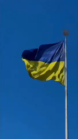 З Днем Незалежності, Україно 🇺🇦#ukraine #україна #прапор #деньнезалежності #українськіпісні 
