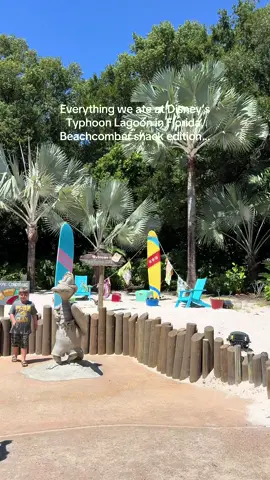 had the time of our lives at typhoon lagoon! We rented the beachcomber shack and it was 1000% worth it!! #typhoonlagoon #disneyworld #itshotoutside #fyp #waterpark 