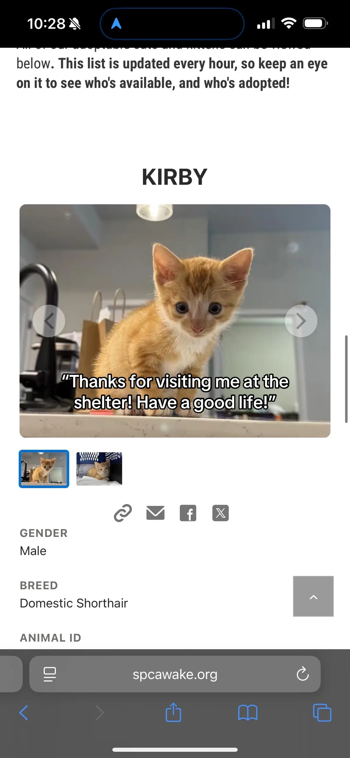 #foryou #trending #viral #adoptdontshop #adoption 