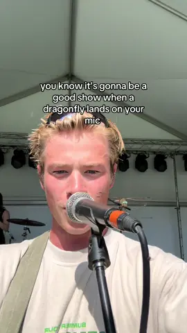 maybe it should be the one singing #concert #dragonfly 