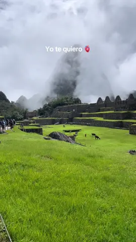 Hasta el final ❤️ #machupicchu #wiliamluna #cusco #paraty 