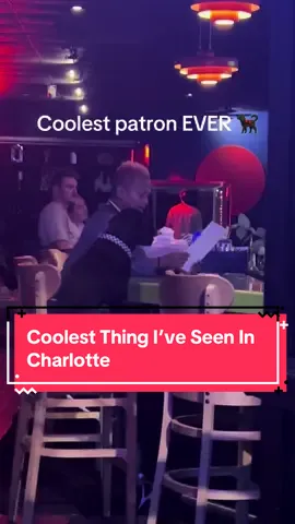 Coolest patron ever! #dog #haha #doglovers #bar 