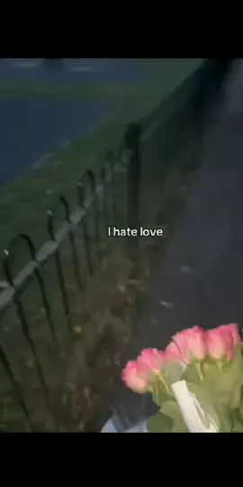 I hate love 