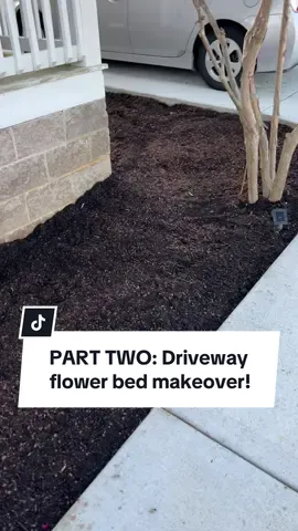Part two of my driveway flower bed makeover is here! Today I dug up and cleared out the rest of the space and added loads of fresh soil to prep this area for planting. Next up is the fun part—shopping my little clearance plant stash in the backyard and finally getting everything in the ground. I can’t wait to see how this flower bed comes together with hydrangeas, hostas, and other perennials. Stay tuned for the big transformation! 