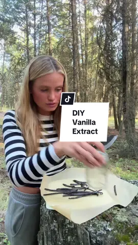 Make vanilla extract at home with me 🍦#diyvanillaextract #vanillabean #christmasgift #homemade 