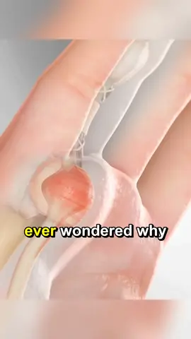 ever wondered why sometimes finger lock #DidYouKnow #healthcare #healthytips #magnesium #pcos 