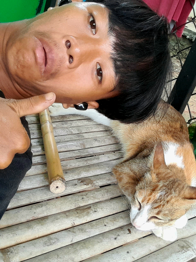 my cat