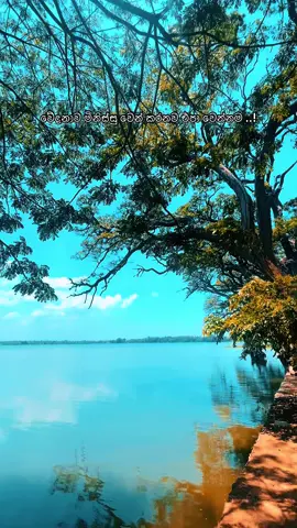 💔#tiktok #viralvideo #@S 💋 @Thurya 🧸💗✨ @𝗦💋🦄🍃  @moiseslyricsss 