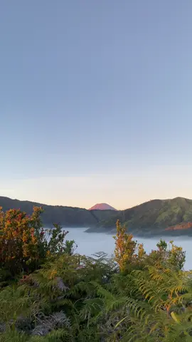 Bromo morning sunshine #bromo #promoseruweekend #agustus 