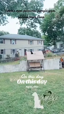 #onthisday