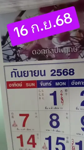 16 กันยายน 2568 #ปฏิทิน #ปฏิทินพารวย #ลอตเตอรี่ #EveydayBow 