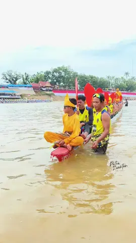 cokou tuakk buayo danu (bandar alay kari)  #pacujalurkuantansingingi #budayaindonesia #aurafarming #buayodanou 