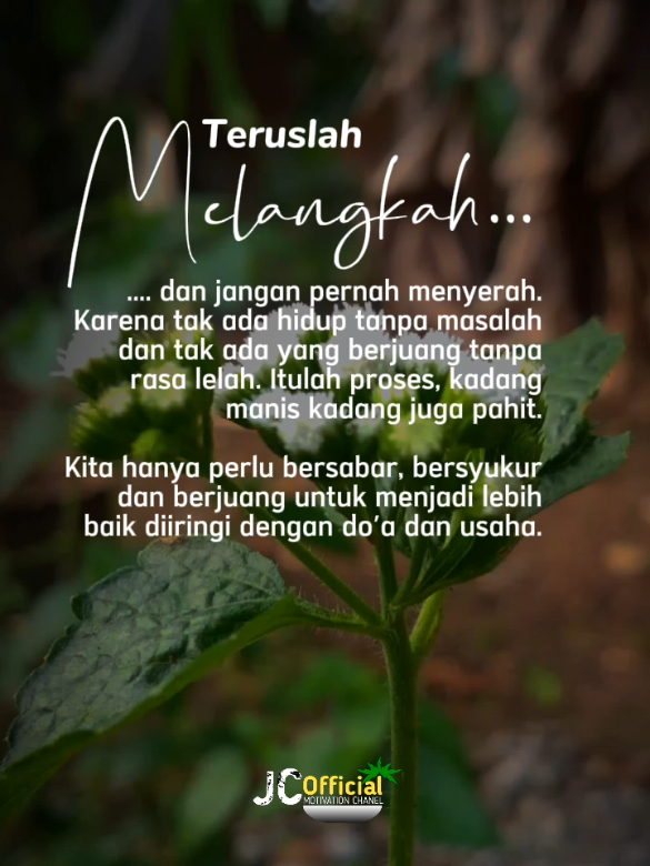 Teruslah Melangkah... #motivasi #quotes #reminder #status #fyp 