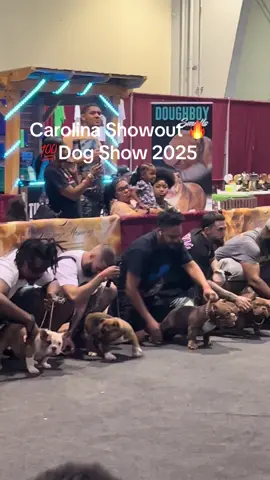 Carolina ShowOut Dog Show ☝️💯🔥#bulliemom #bulliemomlife #foryoupage #fyp #foryou 