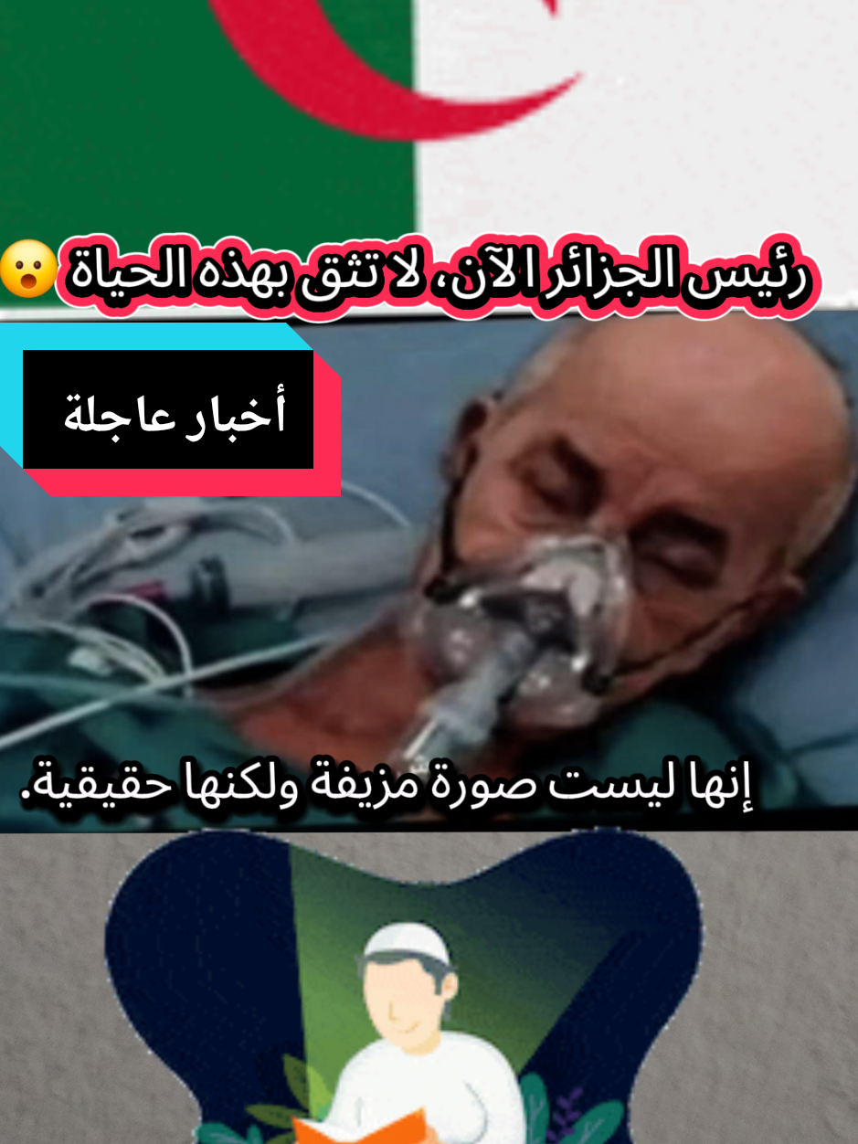 #ArabTikTok #algeria🇩🇿 #morocco🇲🇦 #france🇫🇷 #tunisia🇹🇳 @DON @Chawki Benzehra - شوقي بن زهرة @أسعد الشرعي (حساب احتياطي) @Boufaljaja 