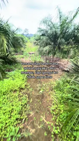 #fyp #fypsawit #kulisawit ##kebunsawit #bossawit #sawitkalimantan #petaniindonesia🇮🇩🇮🇩🇮🇩🌿🌿 