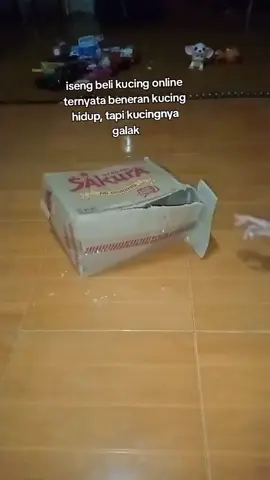 kardus paketnya sampe robek dicakar cakar sama si anabul  #kucing #fyppppppppppppppppppppppp 