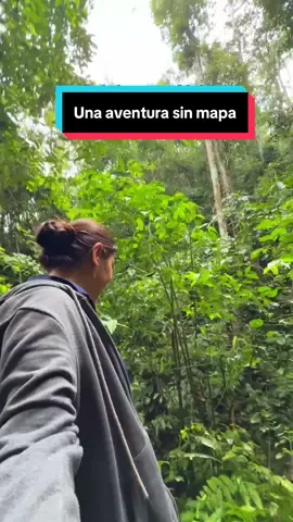 Una experiencia más 🤗❤️🫶🏻#paratiiiiiiiiiiiiiiiiiiiiiiiiiiiiiii #aventuras #laconvencion🌞☀️☀️☀️☀️ #selva #naturaleza 