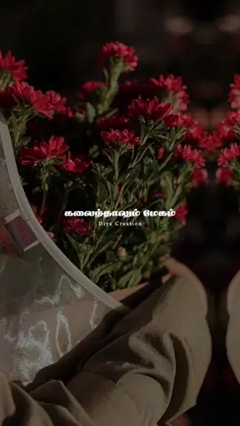 PART 338|🖤🥺நெருப்பாலும் முடியாதம்மா நினைவுகளை அழிப்பதற்கு🥺🖤 #tamilsong #lovefailure #tamilactor #tamillovesongs #tamilanda  # Diya Creation