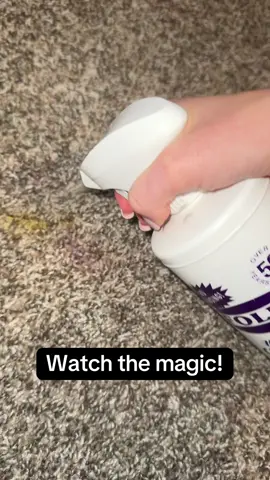 Best stain remove I’ve found!!  #MomsofTikTok #momlife #stainremover #folexcarpetcleaner 