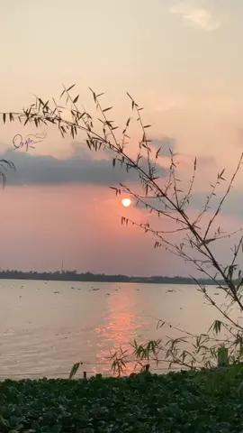 Một chút bình yên #binhyen🤍🕊️ #nhachay #nhac #canhdepmientay #nhachaymoingay 