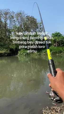 🤣🤣#malang24jam #storymancing #microfishing #fyp 