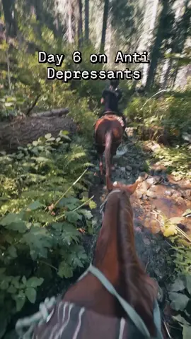 Locked in. #yosemite #horsebackriding #antidepressants #fypシ 