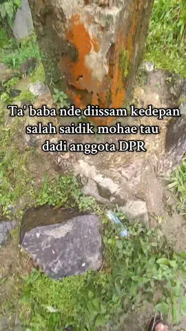 tobambam berkata²🤣 #bambangpride #mamasa 