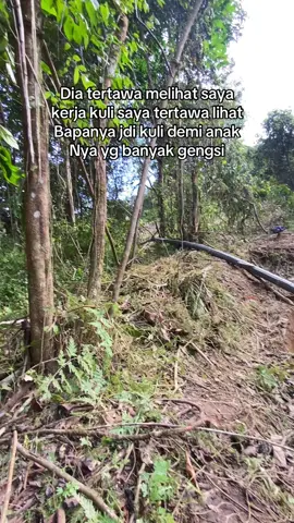 Akaii#lewatberanda #anaktambang#fyp#izinfyp#kulimuda  