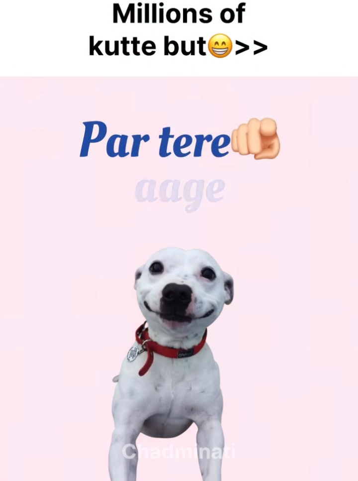 par tere aage😅#creatorsearchinsights #fypシ゚ #funny #memes #foryou 