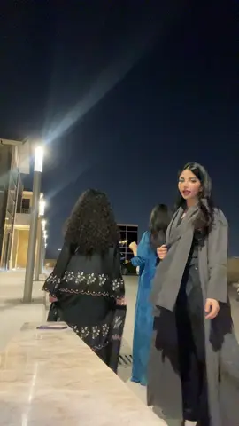 عدناه كم مره و كل شوي امسكهم حسيت اني سونيك 