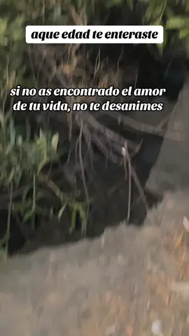 #fyp #frasesfuertes #frases #FrasesReales #viral #relacionestoxicas #frasesdeparejas 