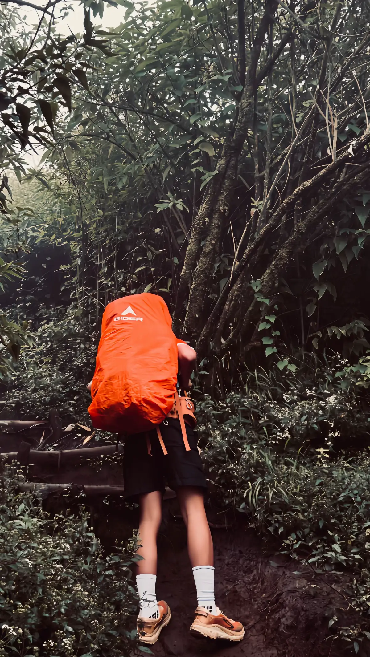 lose #fypage #fyp #pendakigunung #eiger #ecosavior 