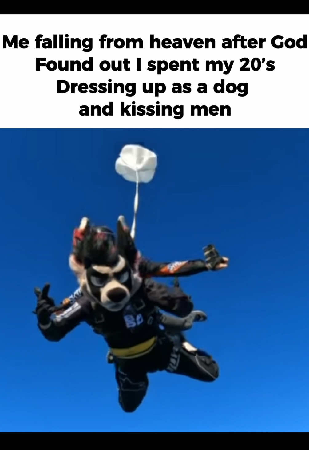 My bad twin🌬️ • • • • #furry #furrymeme #furries #fursuit #memes 