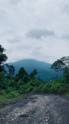 #kutaibarat #mtberatus #gunungkalimantan 