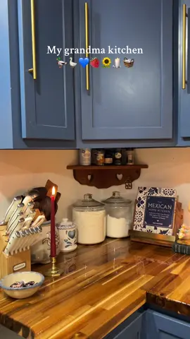 My kitchen 🤎🍄‍🟫🪿📚🕯️ #kitchen #grandmakitchen #heartshelf #thrifting #fyp