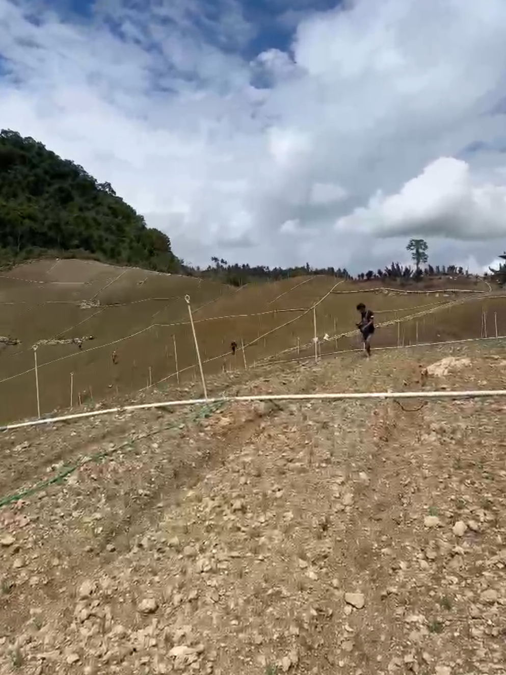 Sabbaraki toda nona 😁 #bawangmerah #petaniindonesia🇮🇩🇮🇩🇮🇩🌿🌿 #fyp 