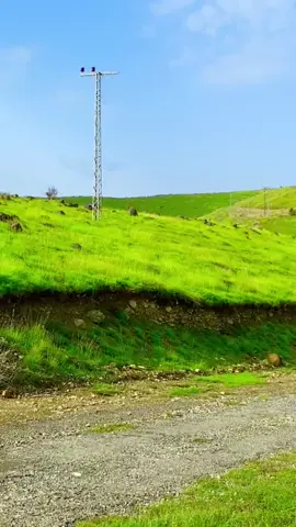 KARAM GARAI South Waziristan beauty 💖😍 #virl #remo #Unfree #پشتون_تاجیک_هزاره_ازبک_زنده_باد🇦🇫 