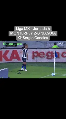 Golazo olímpico de Sergio Canales. #parati #ligamx #gololimpicodesergiocanales #monterreyvsnecaxaresumen #futbolmexicano 
